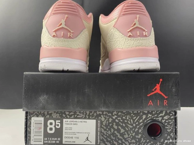 3 Retro Sail Rust (W) CK9246-116 Jordan Pink Air 0815